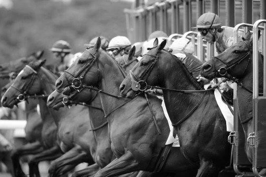 Starting Gate BW